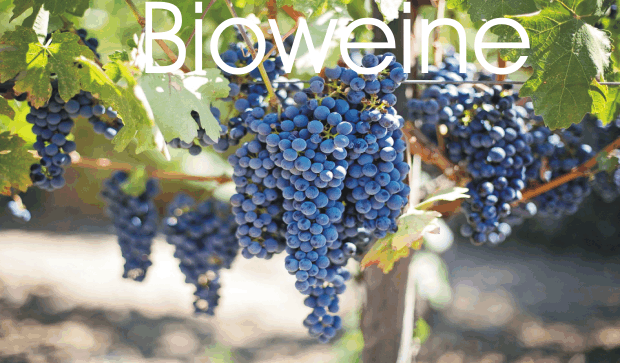 biologische Weinbau, auch organisch-biologischer Weinbau, ökologischer Weinbau,  Biologisch-organischer Weinbau oder biologisch-dynamischer Weinbau ?Bio-Wein? ?Öko-Wein?
